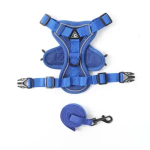 Pet Buckle Small Carrier - Blue