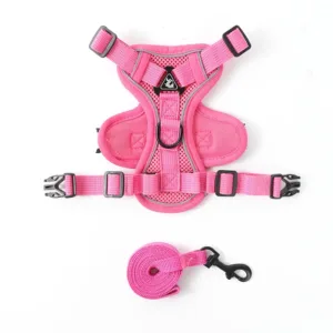 Pet Buckle Small Carrier - Pink
