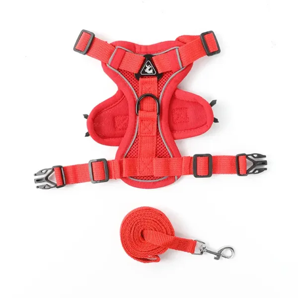 Pet Buckle Small Carrier - Red