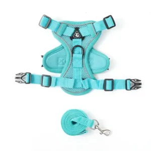 Pet Buckle Small Carrier - Blue
