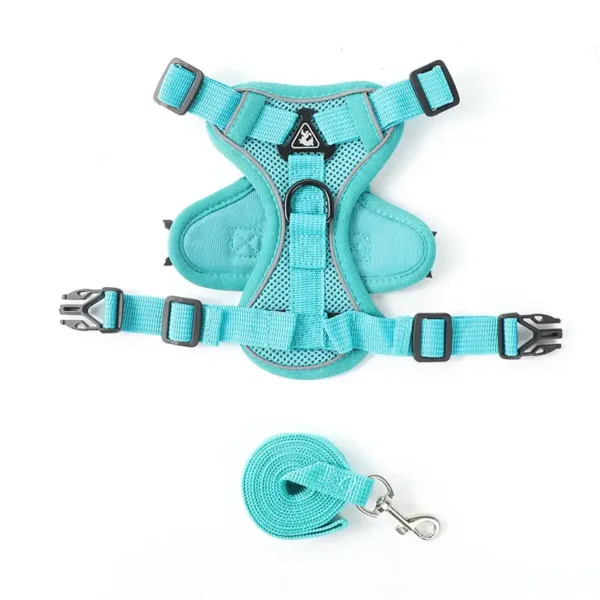 Pet Buckle Small Carrier - Blue