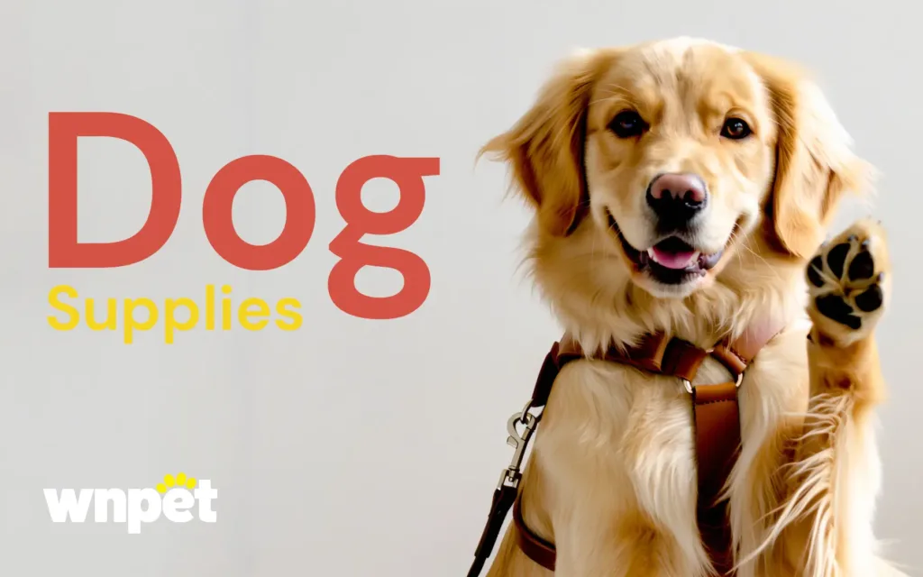 pet supplier