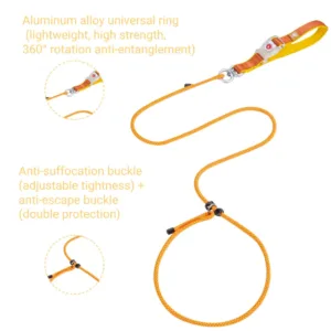 Function Orange Integrated Explosion Proof Pet Leash