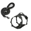 Black Rarewe Retractable Dog Training Harness