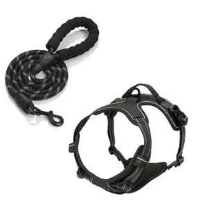 Black Rarewe Retractable Dog Training Harness