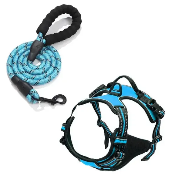 Blue Rarewe Retractable Dog Training Harness