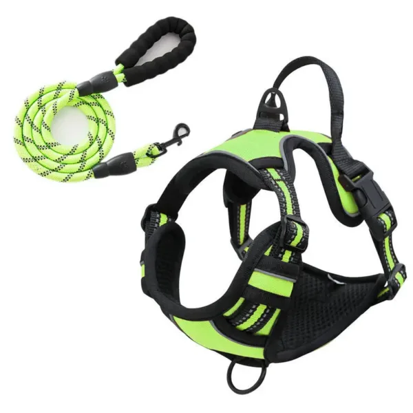 Green Rarewe Retractable Dog Training Harness