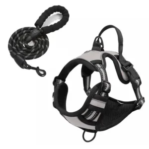 Grey Rarewe Retractable Dog Training Harness