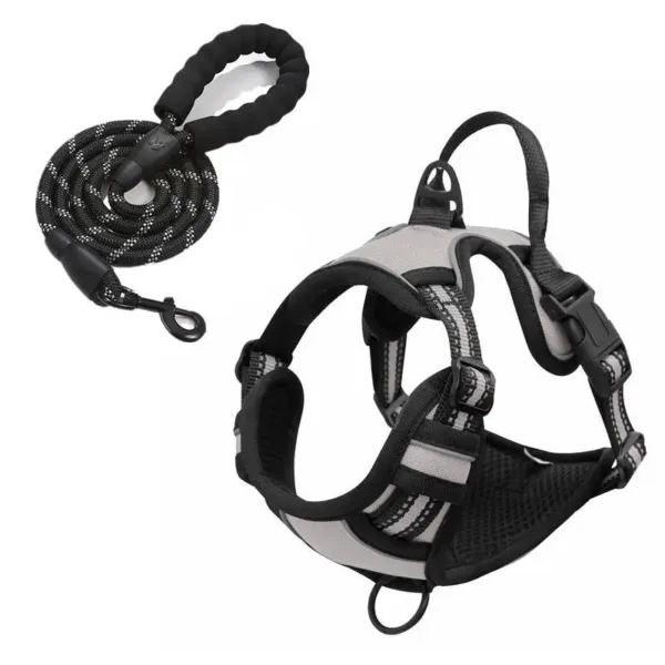 Grey Rarewe Retractable Dog Training Harness