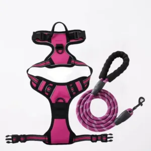 Open Rarewe Retractable Dog Training Harness