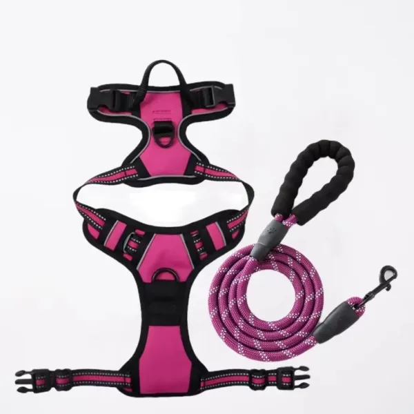 Open Rarewe Retractable Dog Training Harness