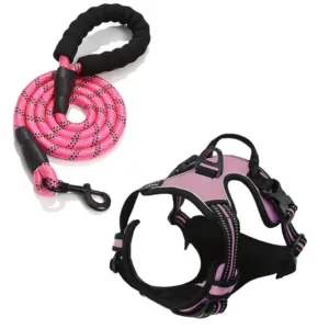 Pink Rarewe Retractable Dog Training Harness