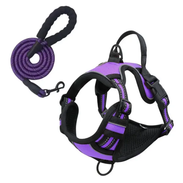 Purple Rarewe Retractable Dog Training Harness