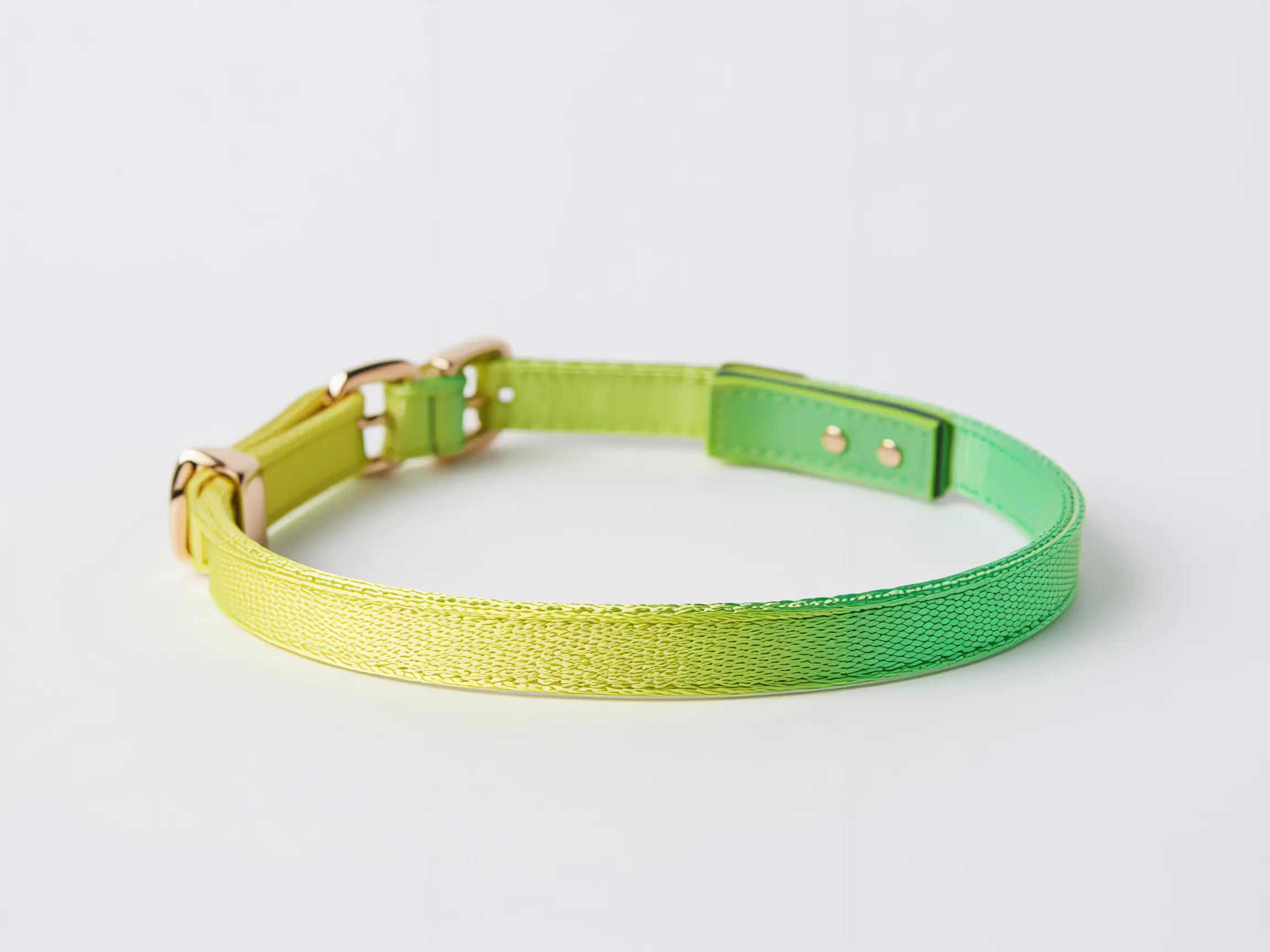 breakaway dog collar