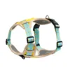 Dopamine Fun Element Printed Pet Harness(Yellow+Blue)
