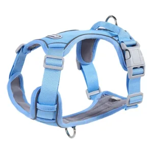 H-Shape Comfort Adventure Ready Dog Harness Blue