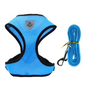 Luminous Paw Safety Reflective Pet Harness With Leash Blue