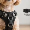 Pet Retail Trends Best Selling Harness Designs