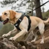 Y-Shaped Professional Dog Climbing Harness
