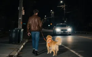 night walking safety system reflective harness