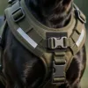 Tactical Dog Harness