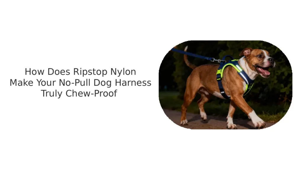 Anti-Tear Nylon Material Non-Pull Dog Harness