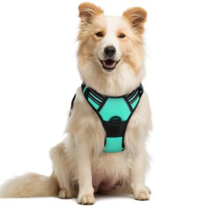 Cure-Free Reflective Oxford Pet Harness