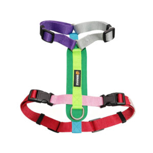 New No-Pull Multicolor Y-Shape Dog Harness for Small & Medium Dogs
