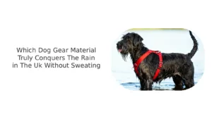 Neoprene And Nylon Dog Gear Material