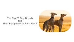 The Top 20 Dog Breeds and Their Equipment Guide - Part 1