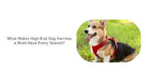 Seasonal High-End Pet Harness