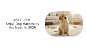 You need the cutest small dog harness in 2026