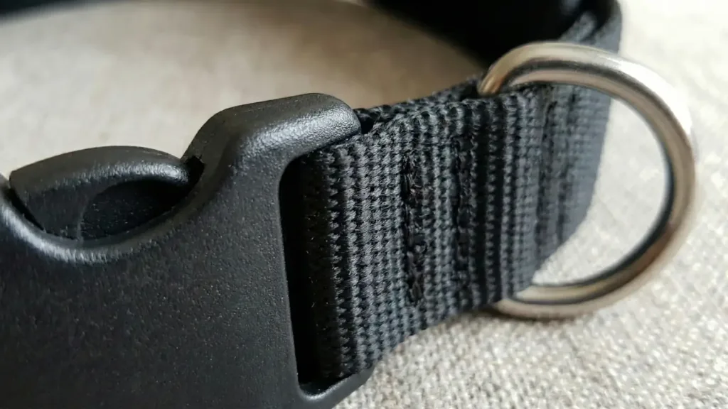 Leash attached to the back clip