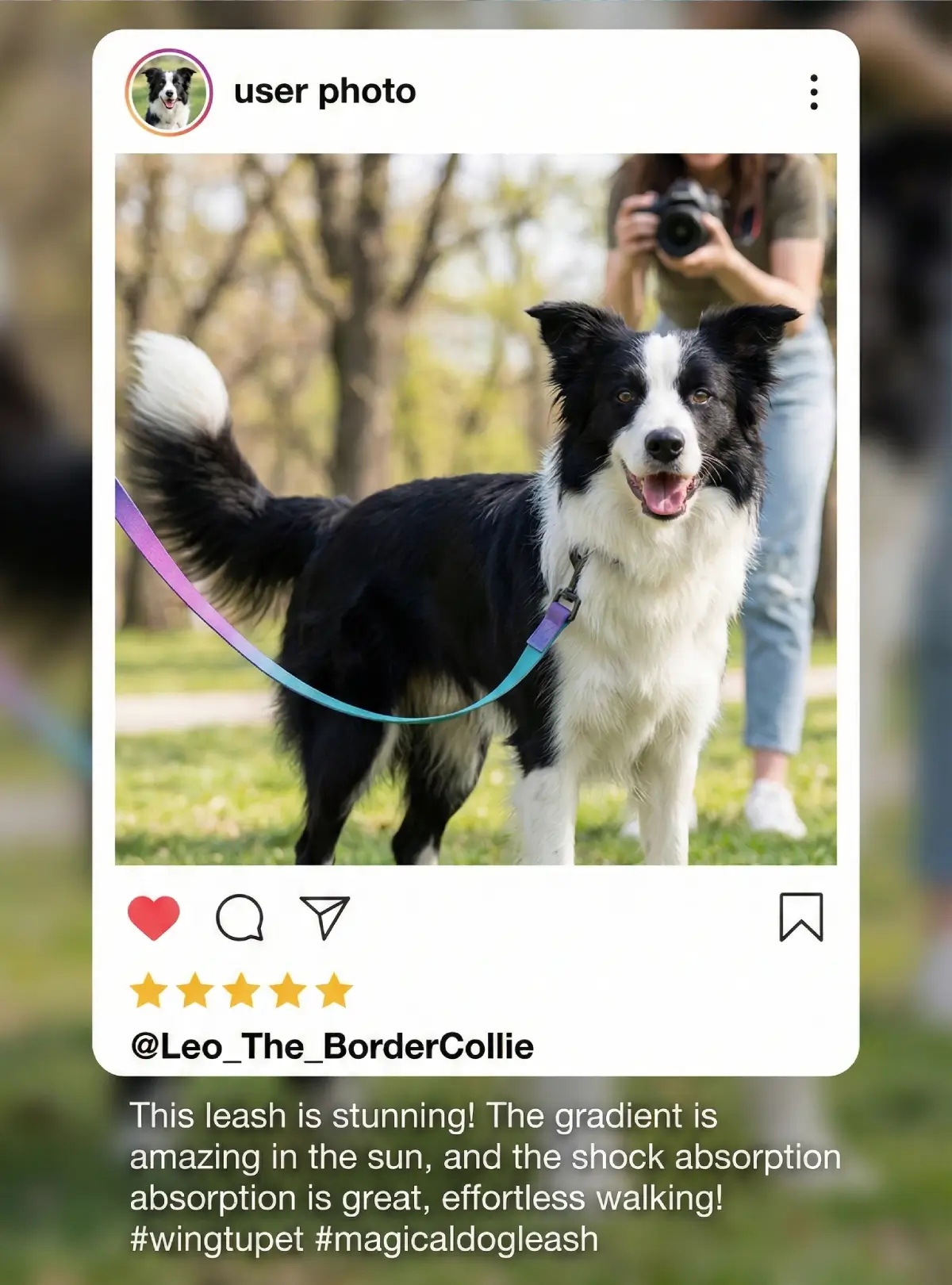 Multi-Functional Shock-Absorption Dog Leash with Bungee User Reviews / Social Proof