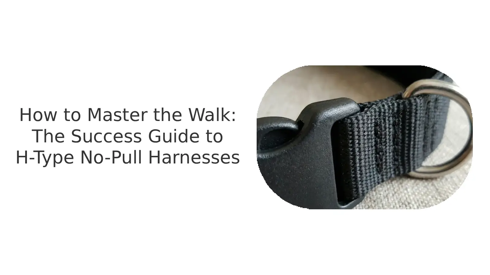 Walker How to Choose h-type No-Pull Harness