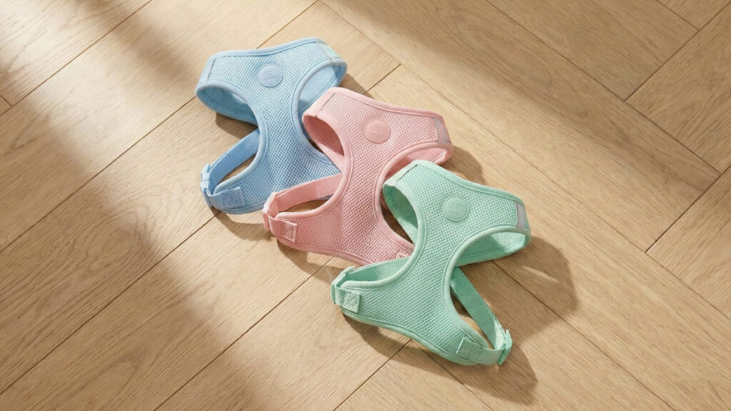 Teach you how to train a puppy.