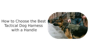 how to choose the best tactical dog harness with a handle