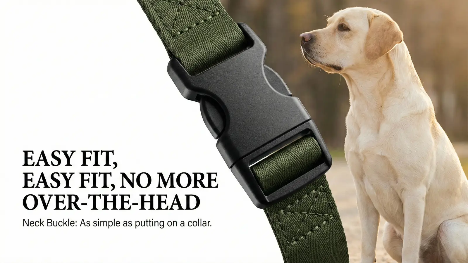 Dog Harness Neck Buckle Safety Feature Editorial