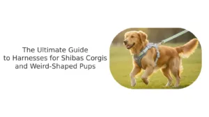 Best escape-proof harness for shiba inu, cirgi