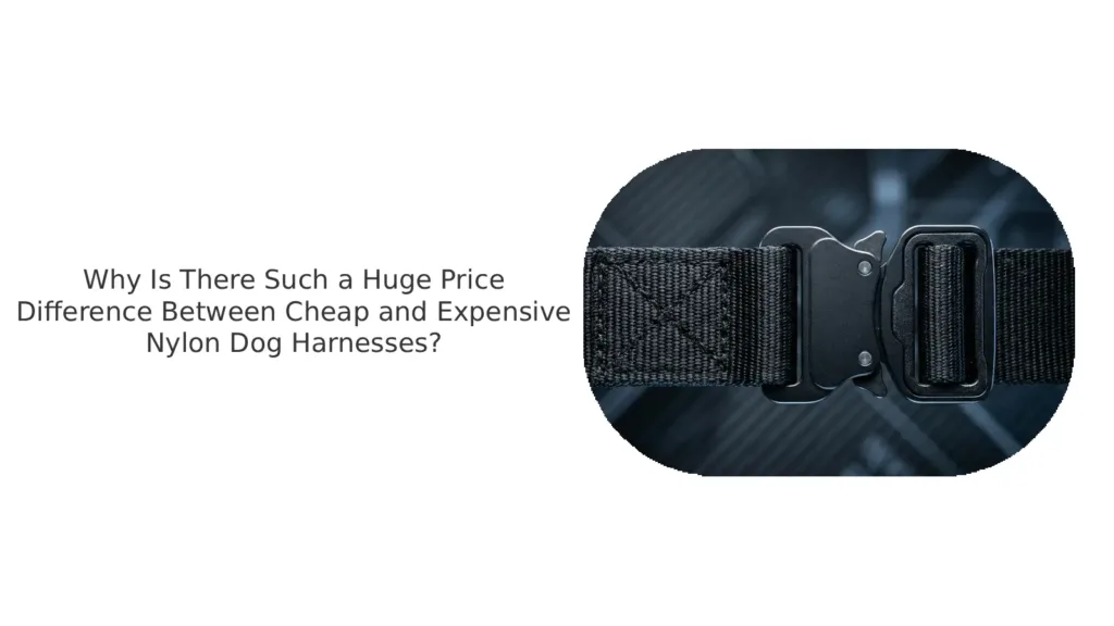 Cheap vs expensive dog harness, heavy-duty dog gear, tactical dog harness, dog harness safety, Cordura nylon webbing, Duraflex buckles for dogs, no-pull harness durability, best dog harness for hiking.