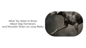 padded dog harness, reduce shoulder pressure