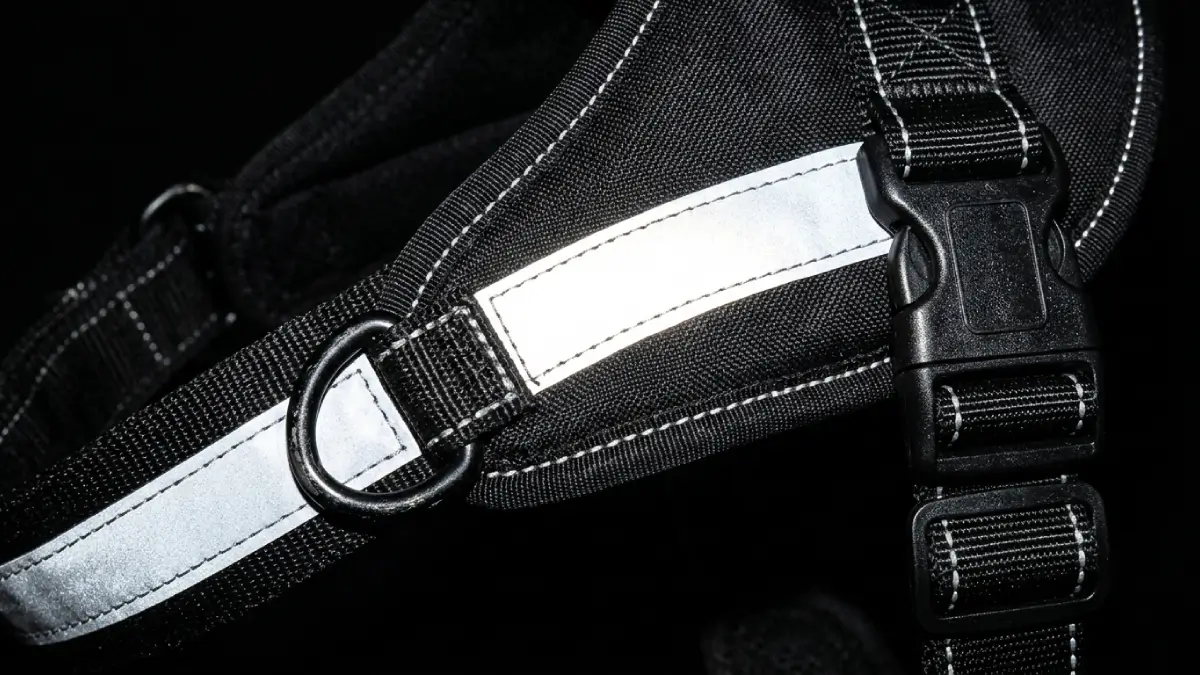 fall dog walking gear, reflective dog harness, waterproof dog harness, layering for dogs, dog winter coat, LED dog collar, safety dog walking